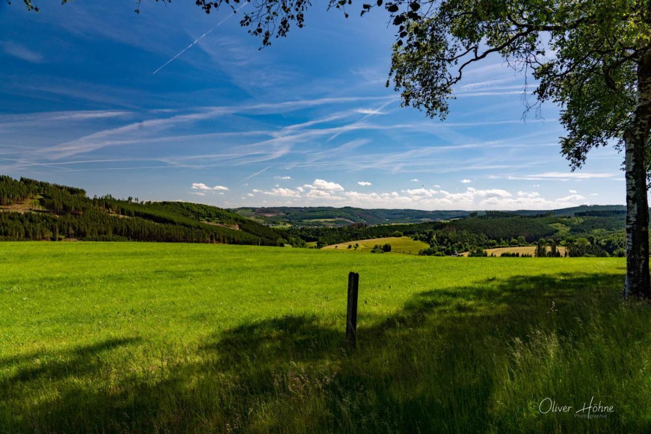 Ferienwohnung Am Waldrand Bad Laasphe Exteriér fotografie