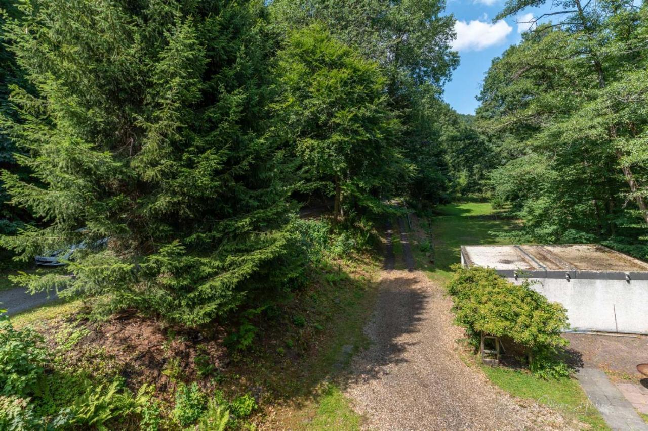 Ferienwohnung Am Waldrand Bad Laasphe Exteriér fotografie