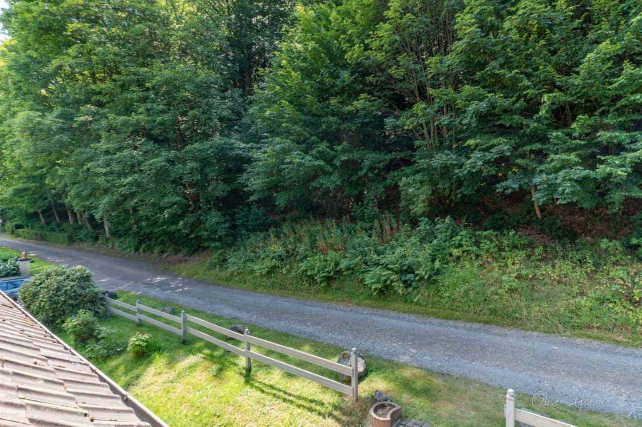 Ferienwohnung Am Waldrand Bad Laasphe Exteriér fotografie